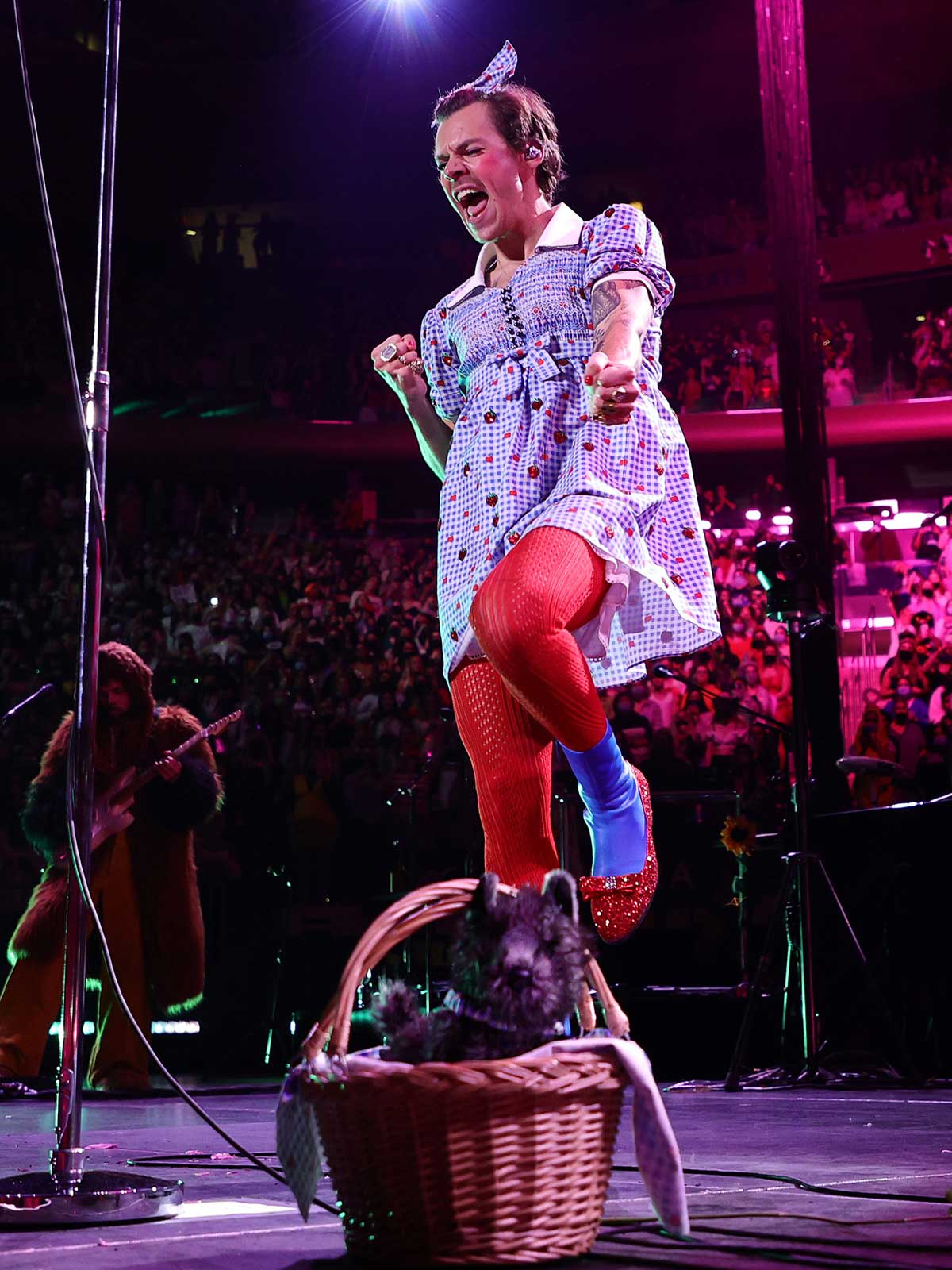 Harry Styles - Dorothy