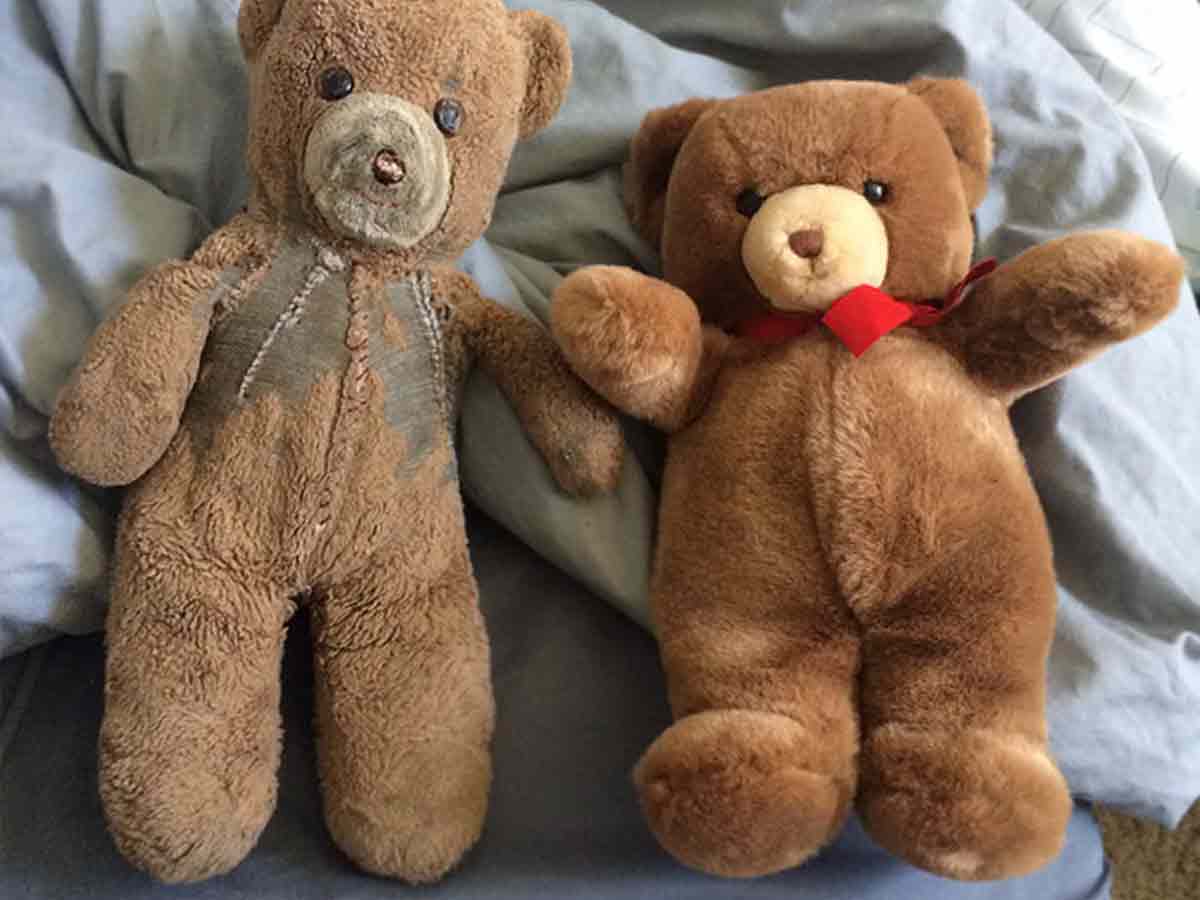 The Teddy Bear Used Every Day vs. The One in Storage