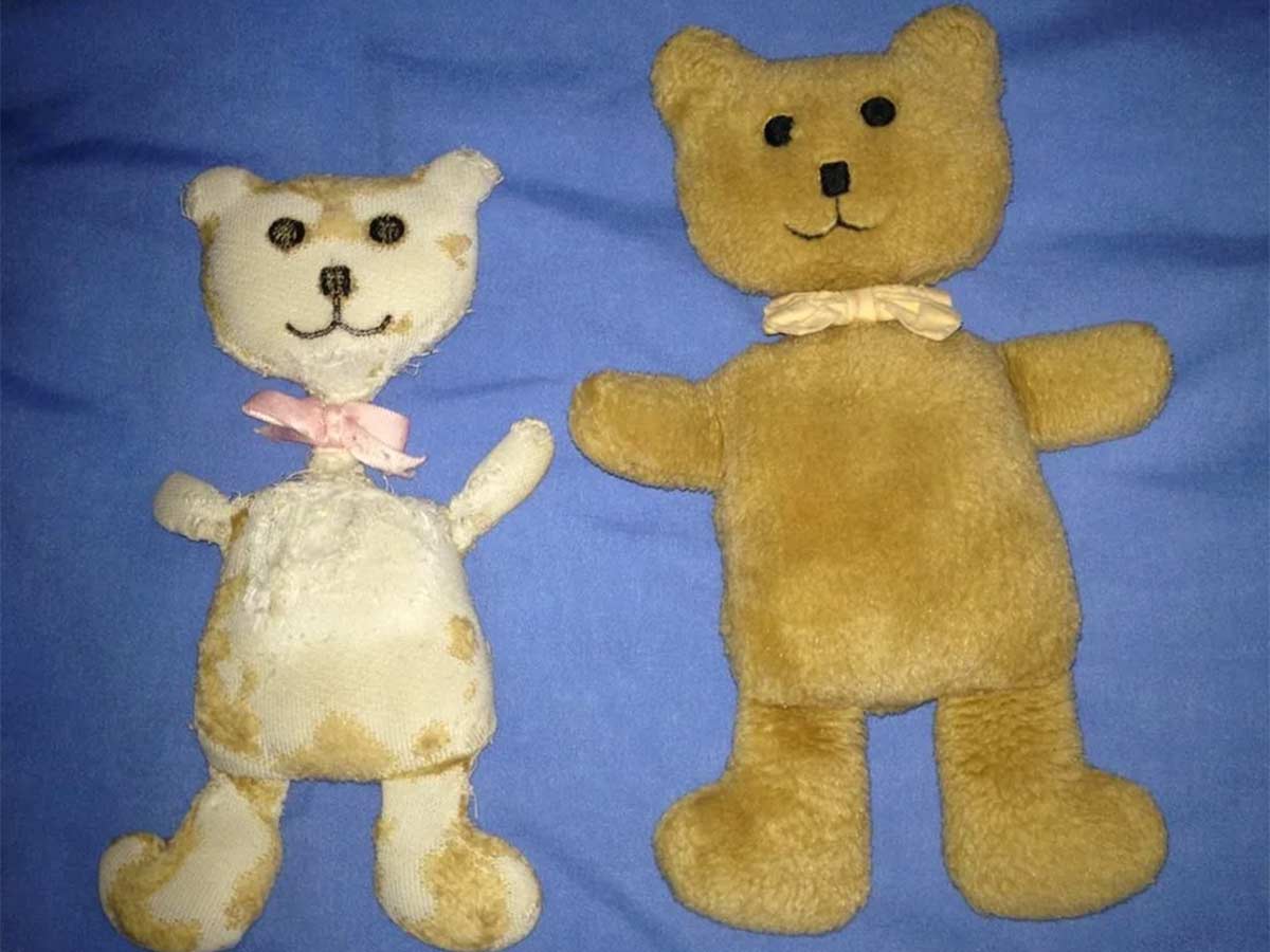 Teddy Bear Wear and Tear