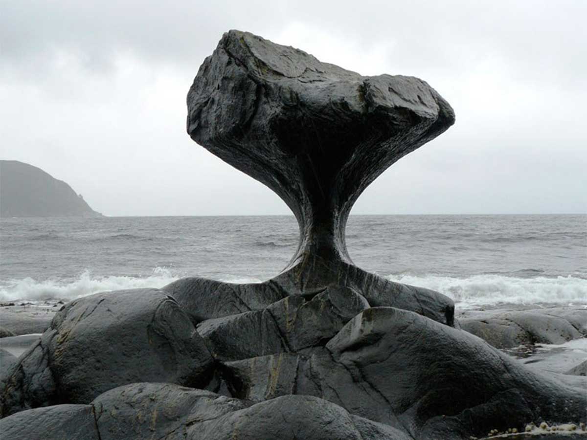 The Waves of Time