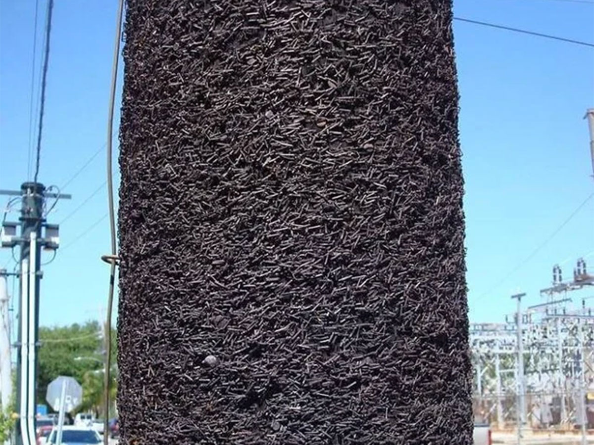 So Many Staples