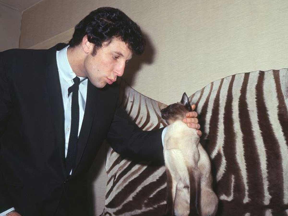 1965: "What's New Pussycat" by Tom Jones