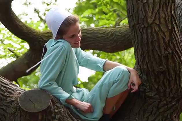 Breaking Amish