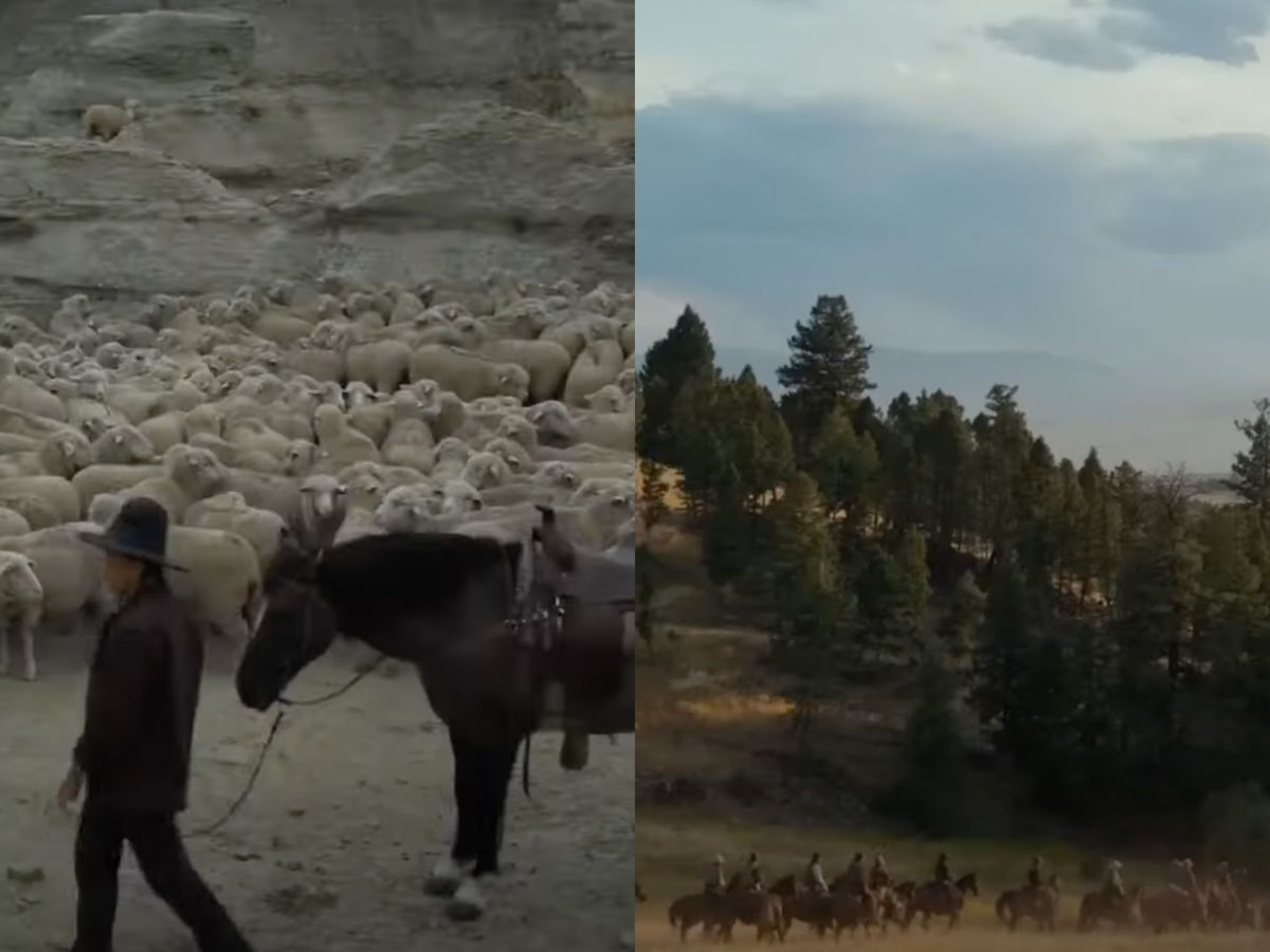 Some scenes were shot in Africa, Asia, and Europe.