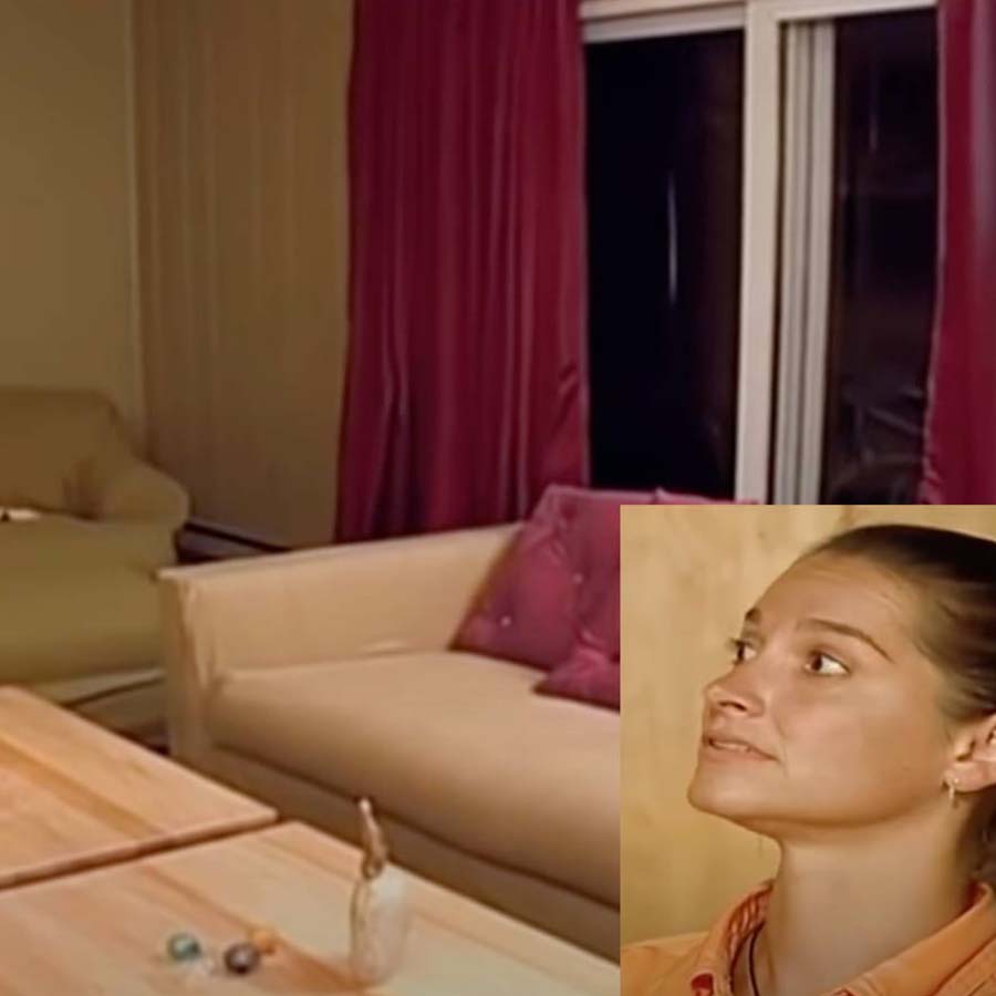 Baby Poop Walls | "Trading Spaces"