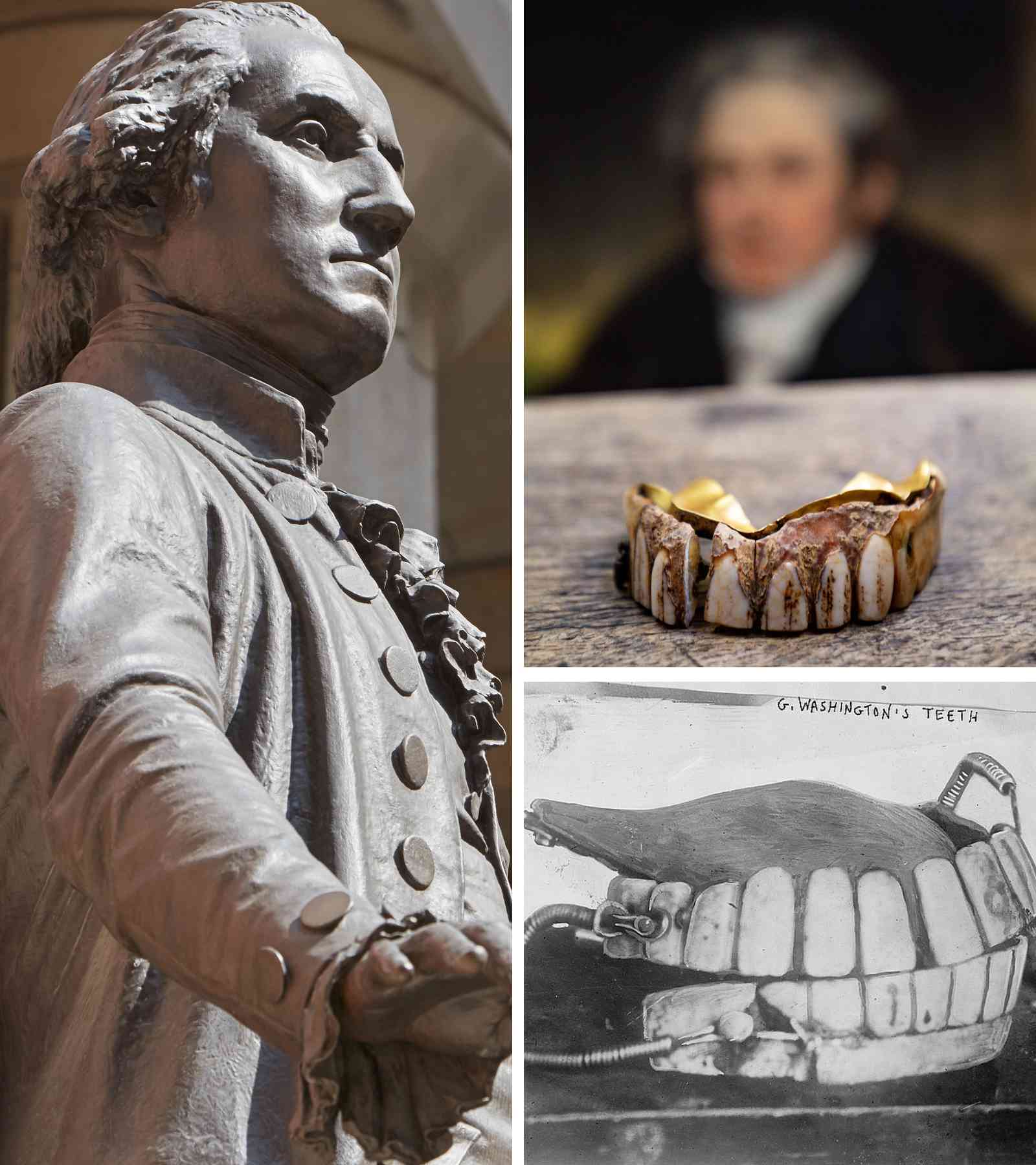 Washington Had Wooden Teeth