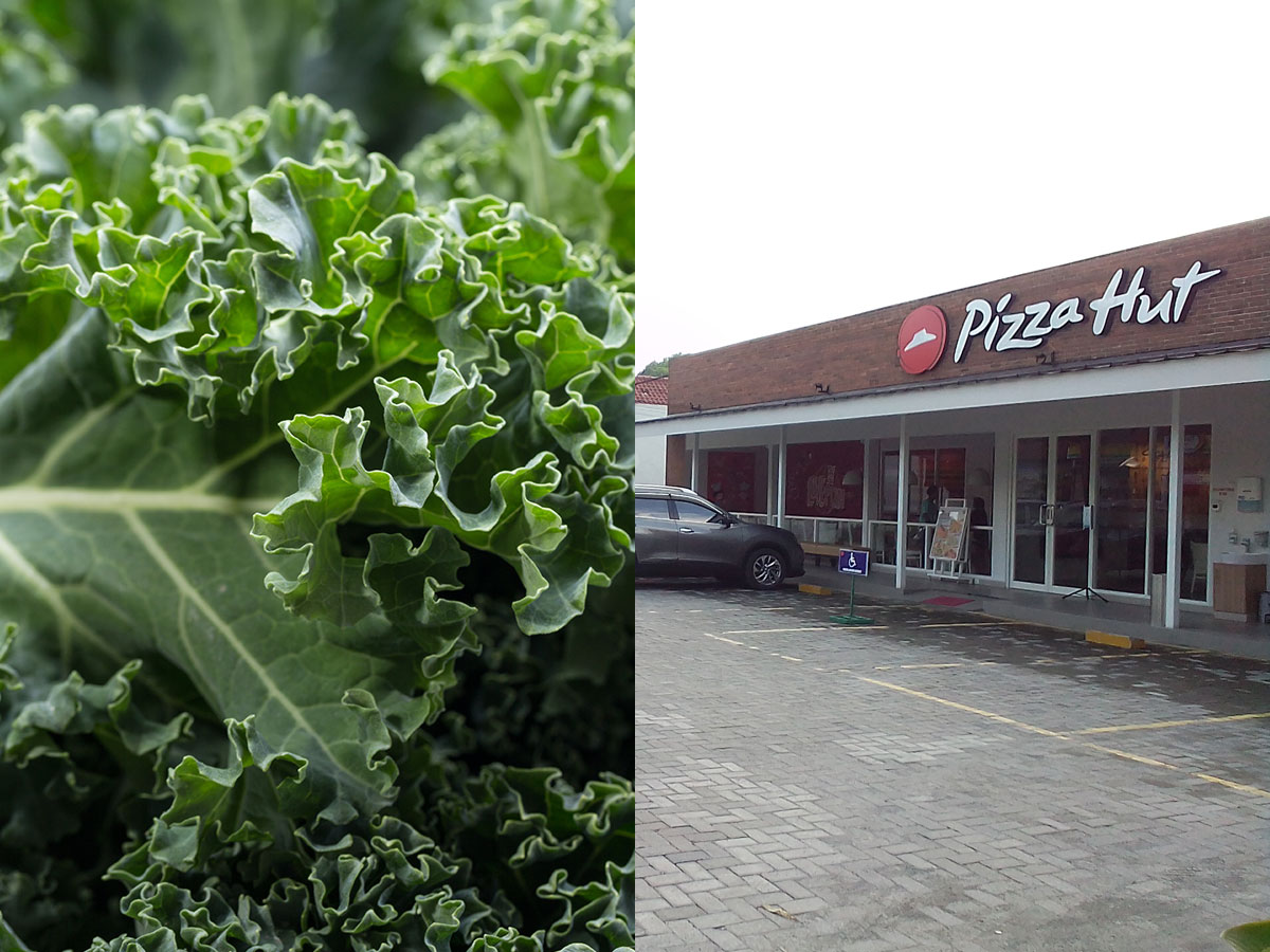 Pizza Hut was Once the Largest Buyer of Kale in the World