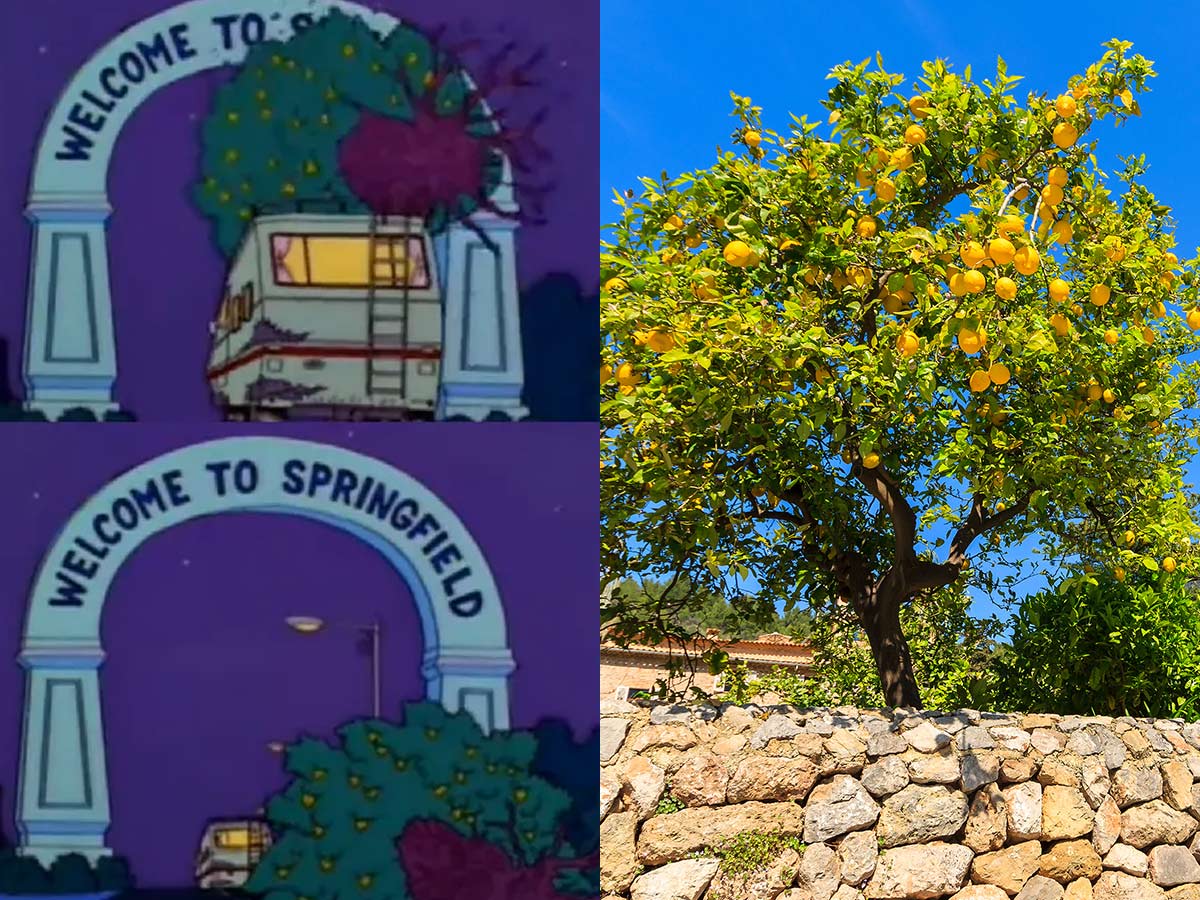 The Stolen Lemon Tree
