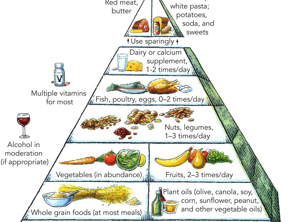 The Food Pyramid.