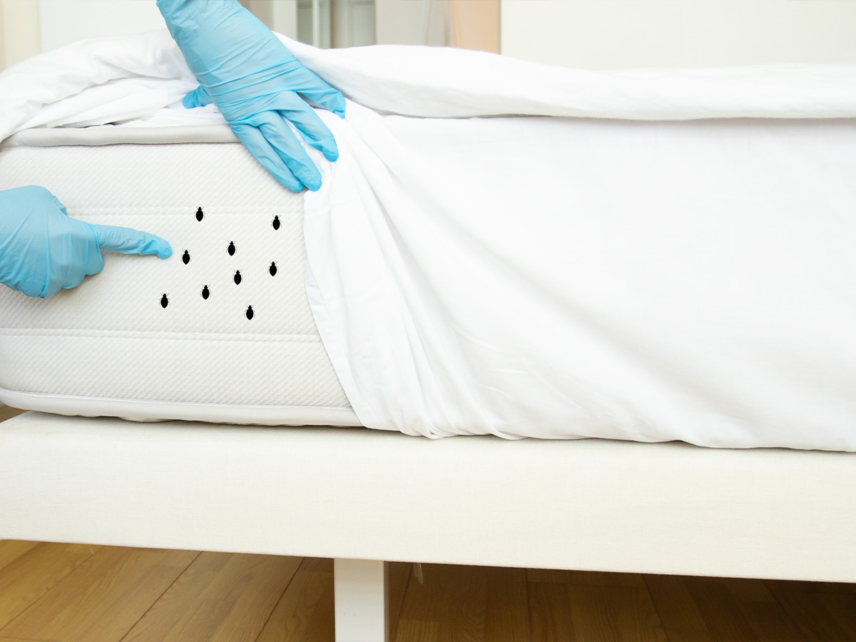 Don't: Buy Mattresses