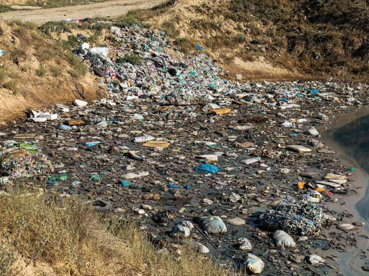 Human Remains Mistaken for Mannequin Brought to Florida Landfill