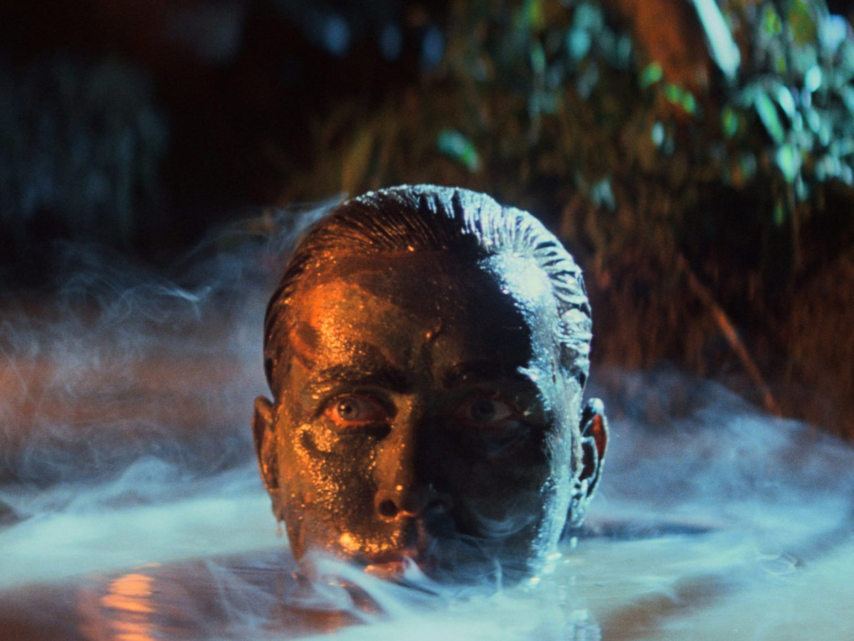 Apocalypse Now (1979)