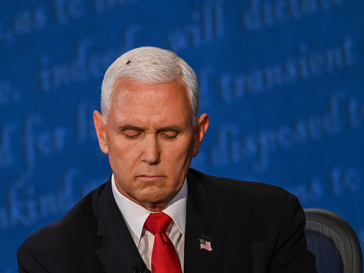 Mike Pence VP Debate Fly
