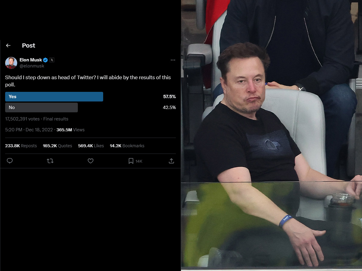Elon Musk's Twitter Poll to Step Down as CEO