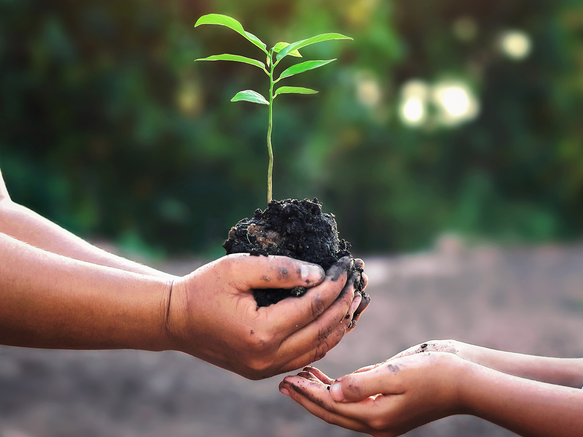 Environmental Awareness