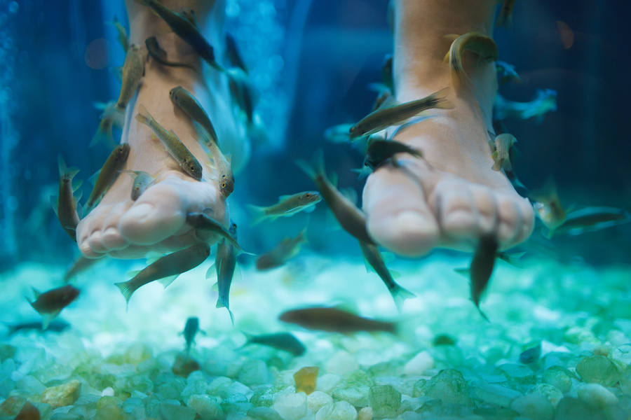 Fish Pedicure