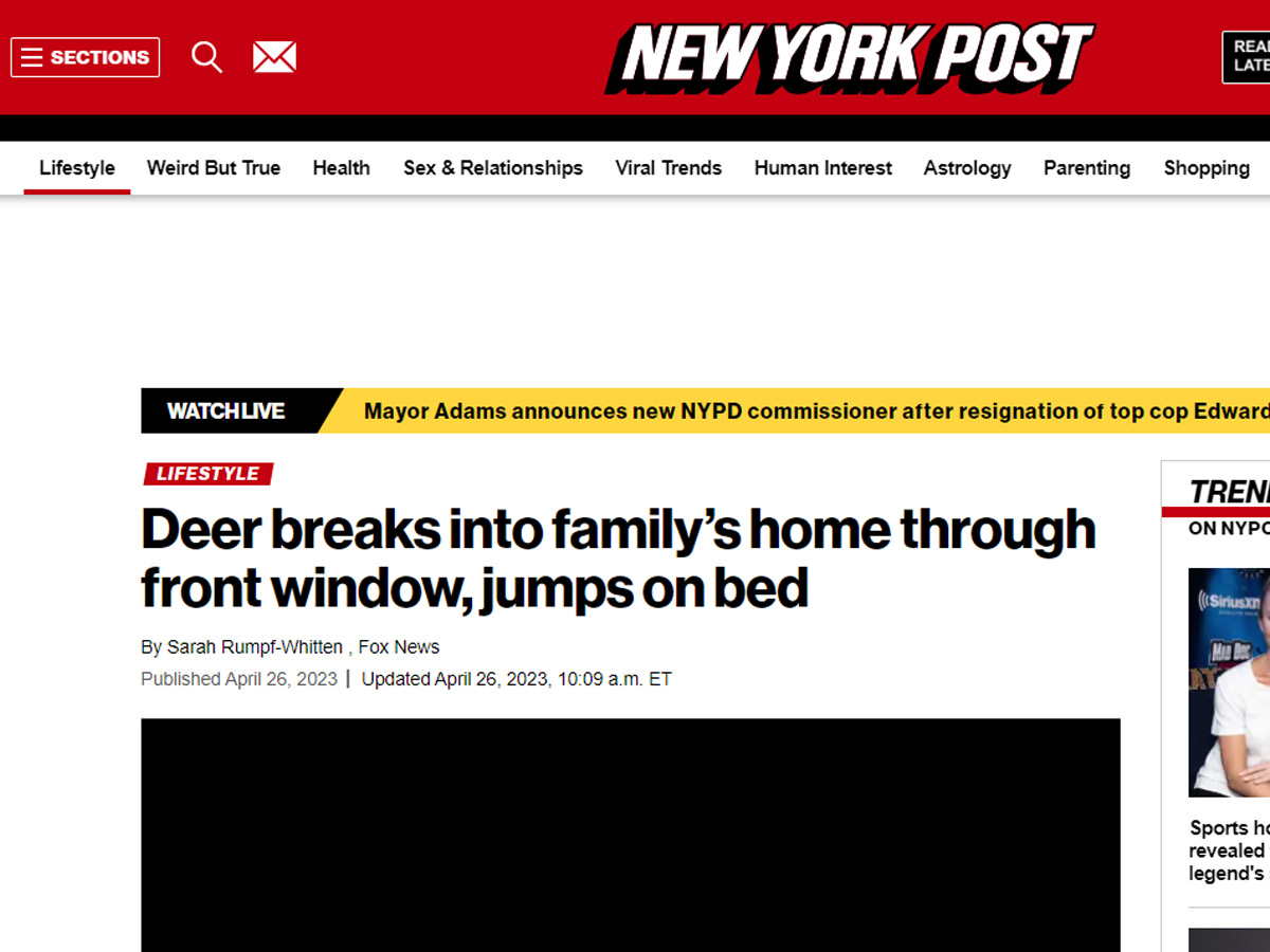 Deer Breaks Into Family’s Home Through Front Window, Jumps On Bed