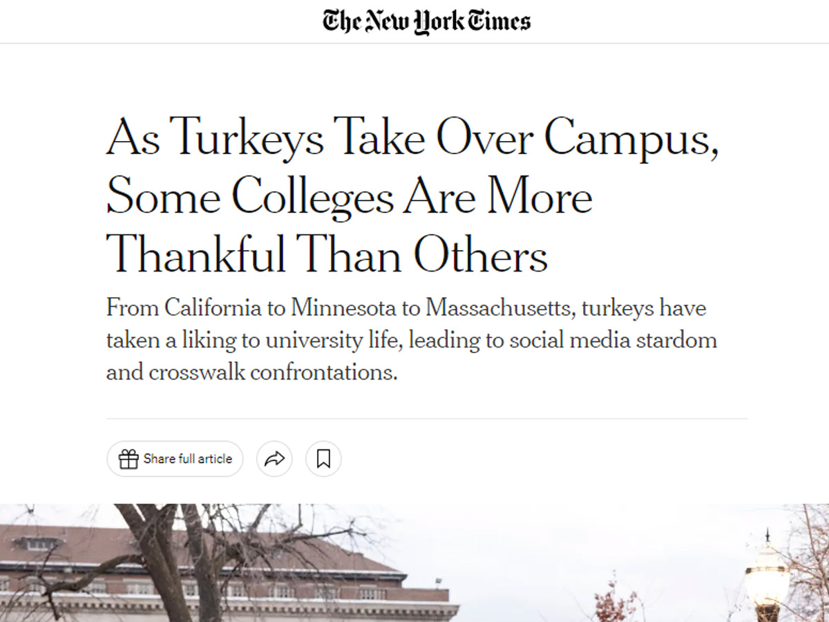 As Turkeys Take Over Campus, Some Colleges Are More Thankful Than Others