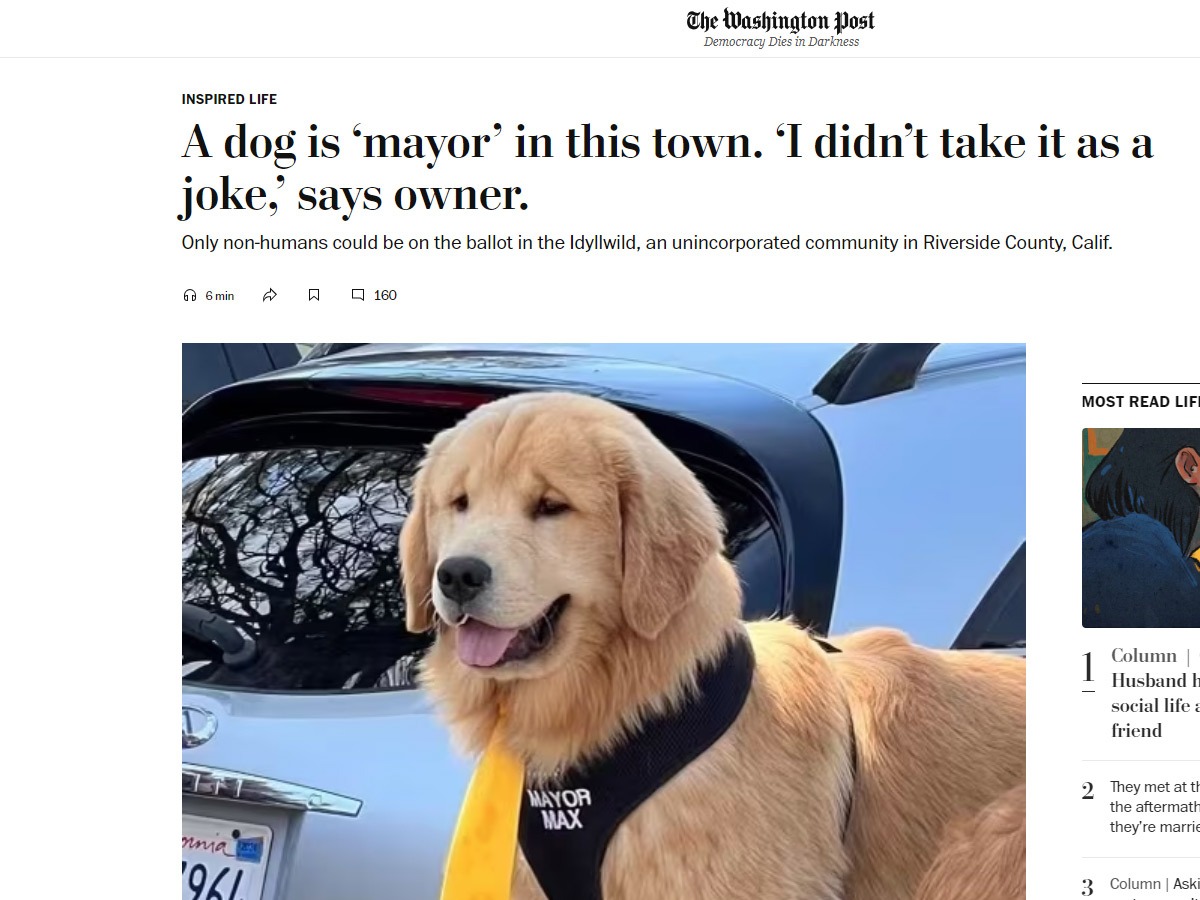 A Dog Is ‘Mayor’ In This Town. ‘I Didn’t Take It As A Joke,’ Says Owner