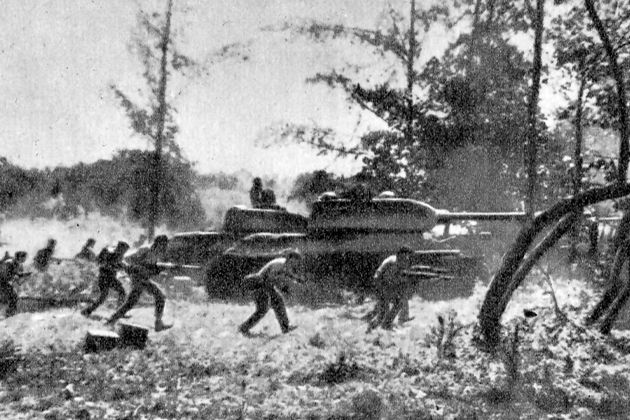 The Bay of Pigs