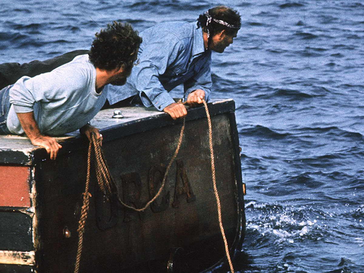 The Hunt (Jaws)