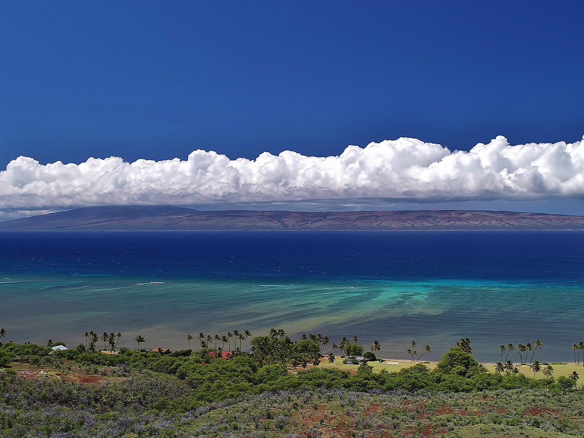 Larry Ellison ($300 Million Hawaiian Island)