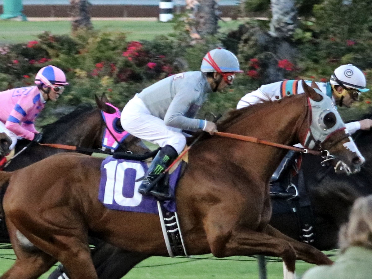 Jay-Z (A $55 Million Horse)