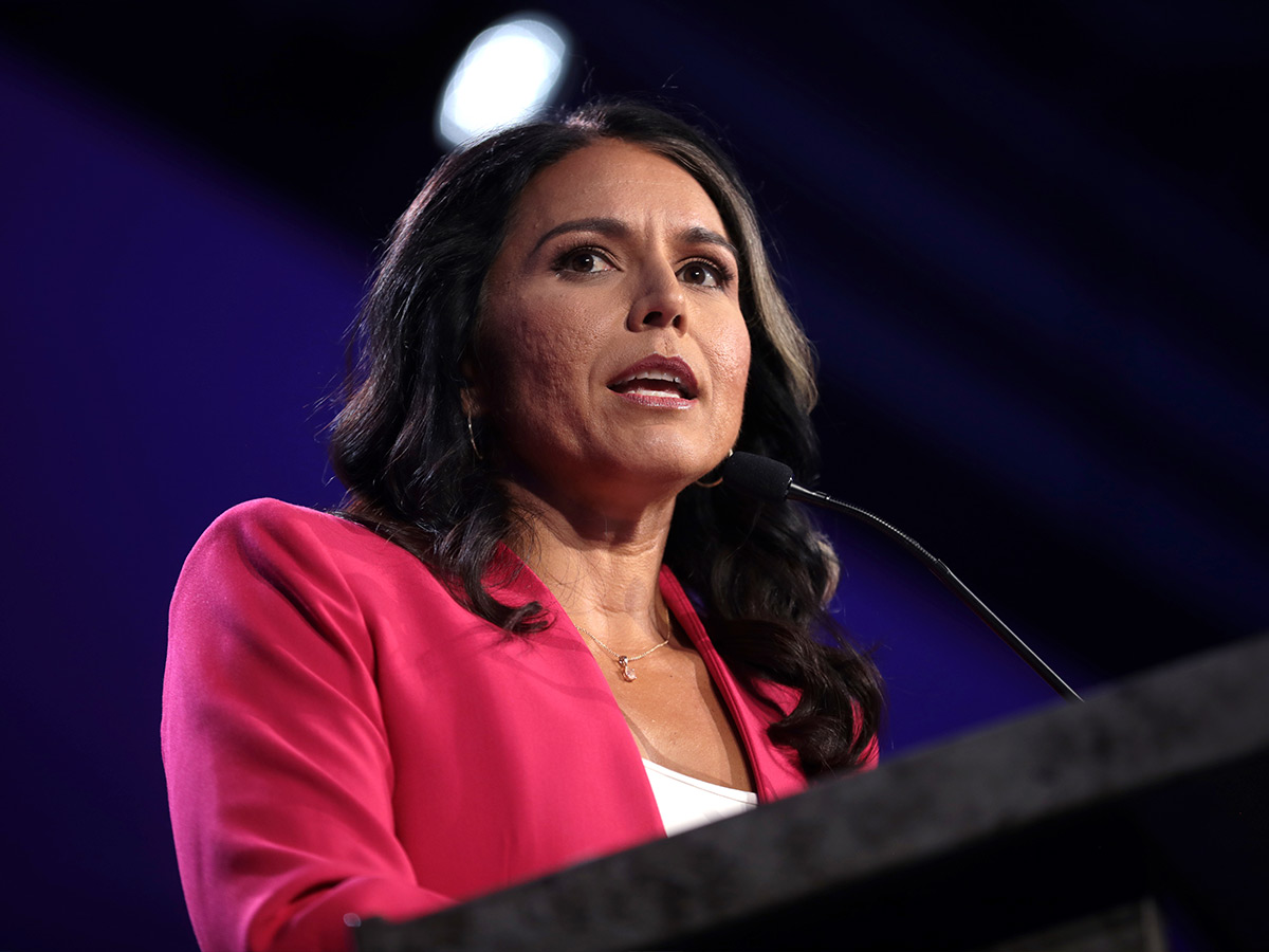 Tulsi Gabbard and Russian State Media