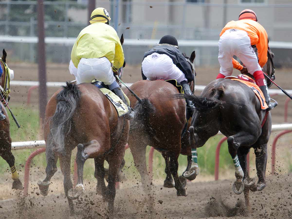 The Secret Language of Silks