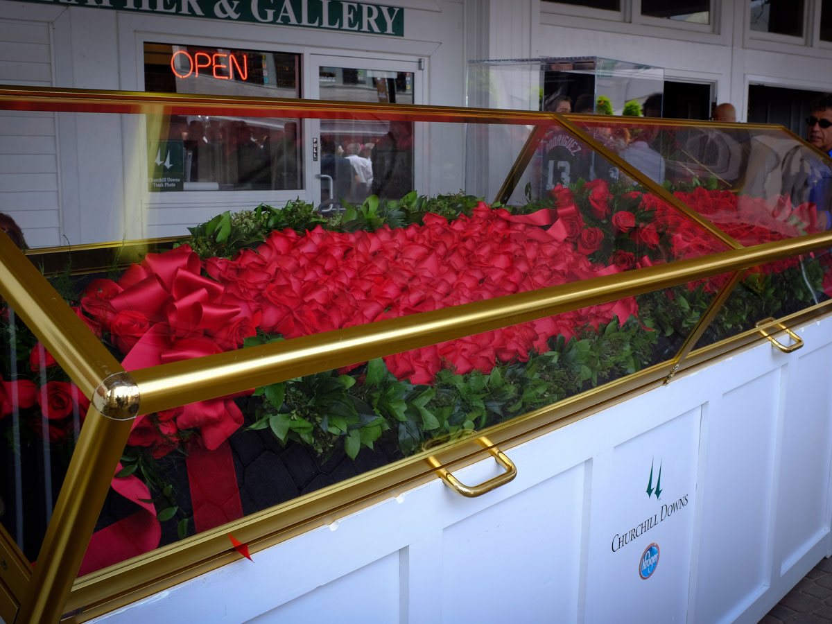 All About the Roses