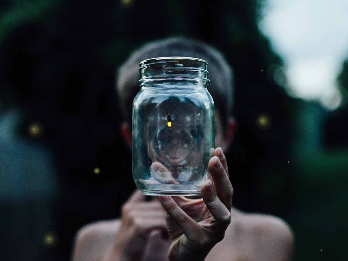 Catching Fireflies at Dusk