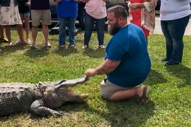 Alligators Shouldn’t Be Invited
