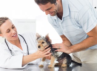 3 Things You Should Thank Your Vet Tech For