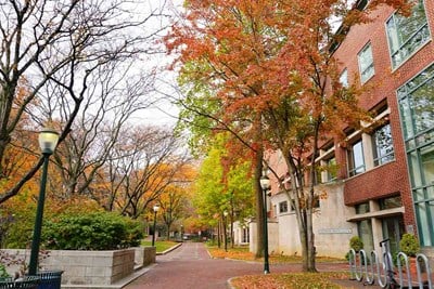 a college campus