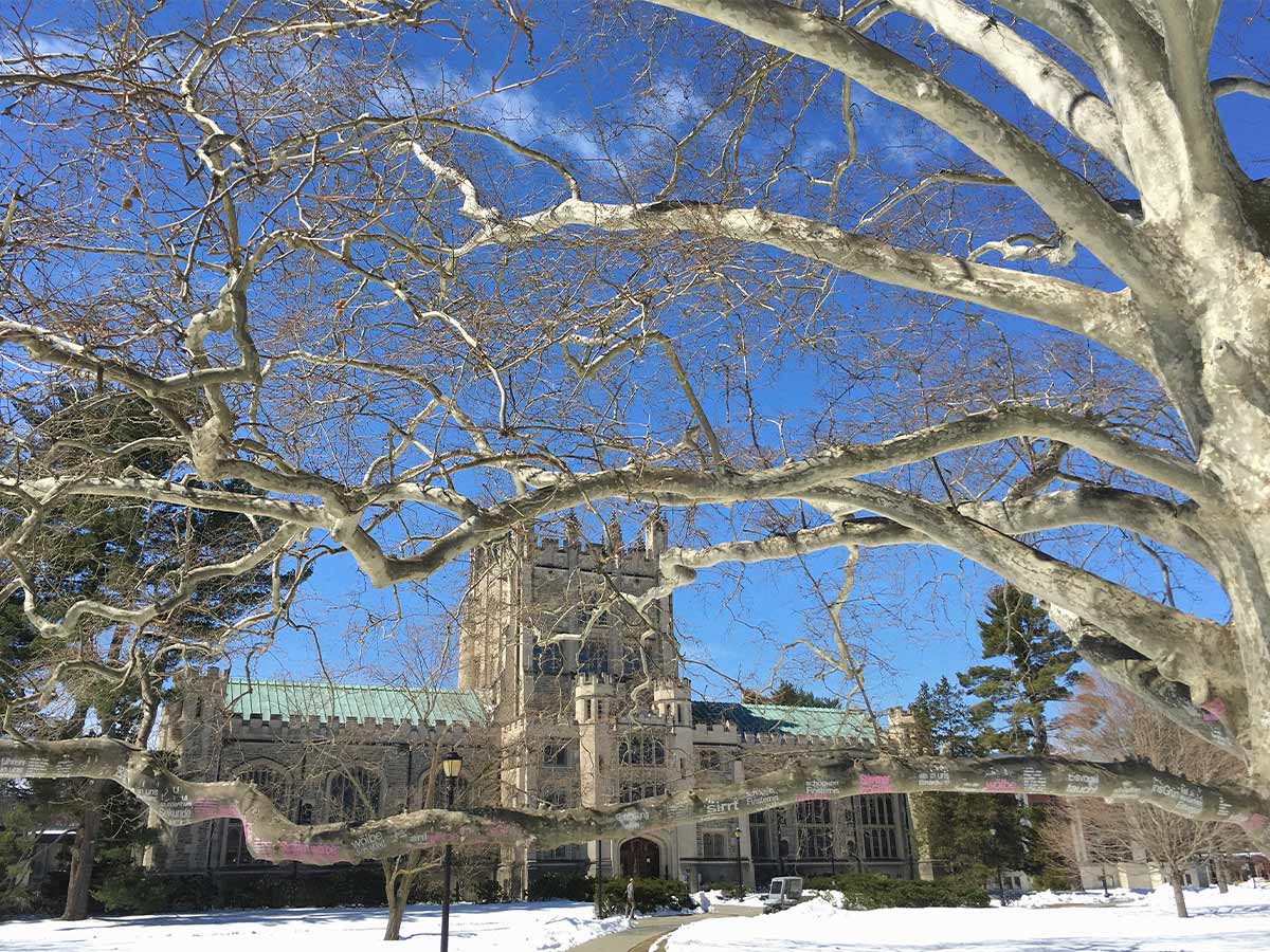 Vassar College (New York)