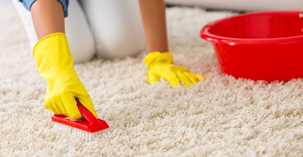 Carpet Cleaning 101 Best Methods for Carpet Stain Removal