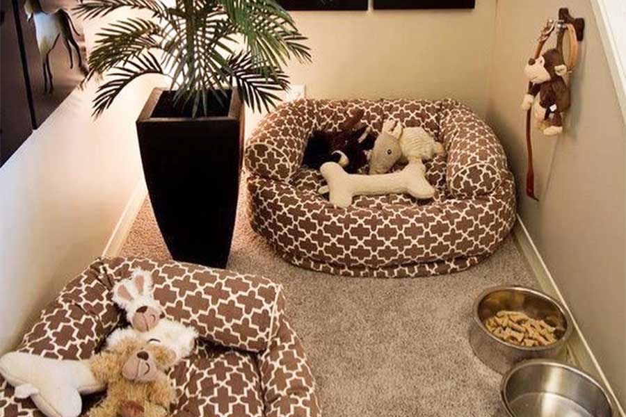 Get Your Pet a Pet Bed