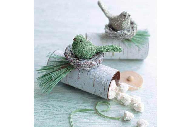 Toilet Paper Rolls