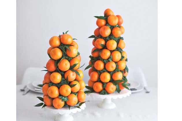 Citrus Tree