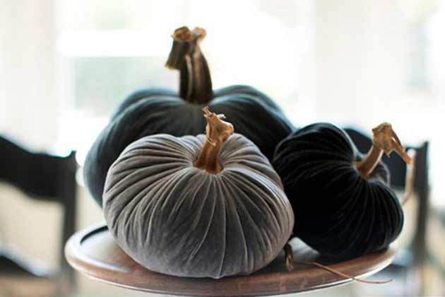 Velvet Pumpkins