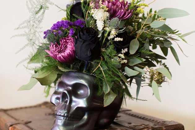 Beautiful Skull