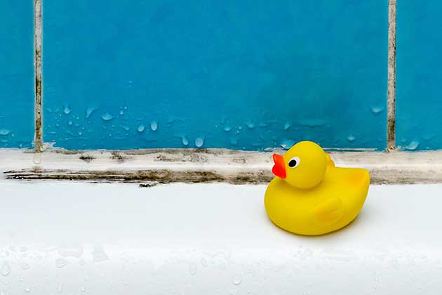 Get Rid of Mildew in Your Shower
