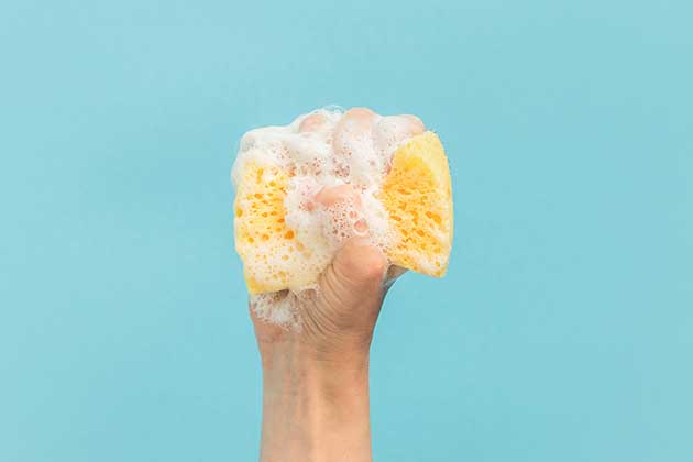 Disinfect Sponges