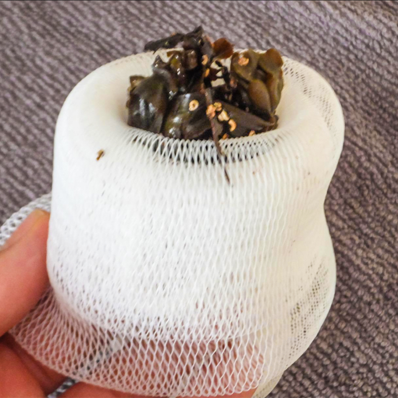 Seaweed Detox Bath