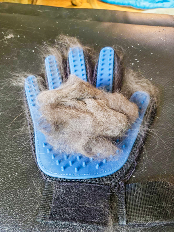Pet Hair Glove