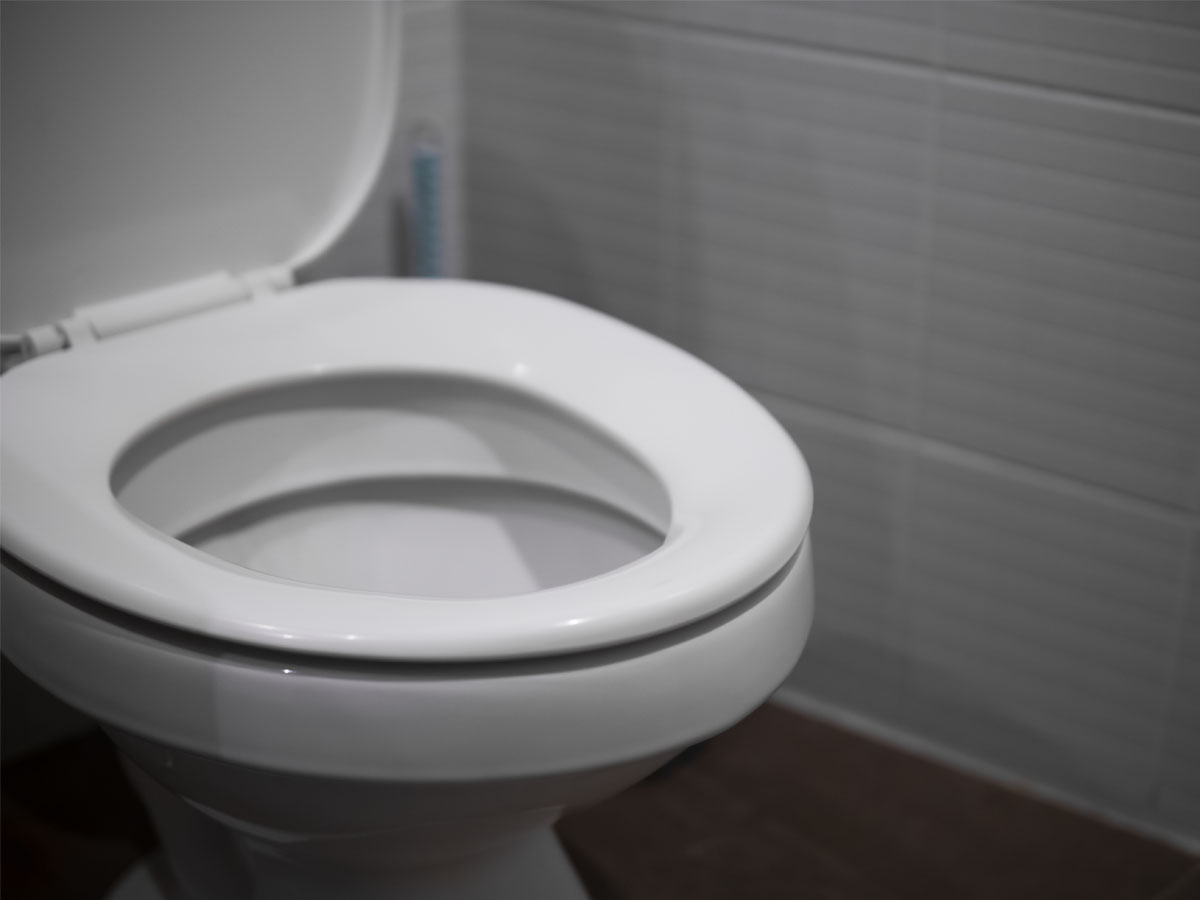 Leaving the Toilet Seat Up