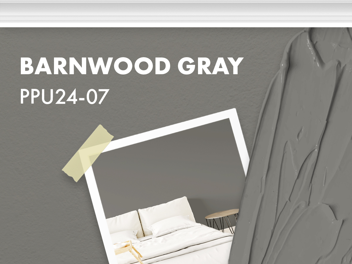 Behr - Barnwood Gray