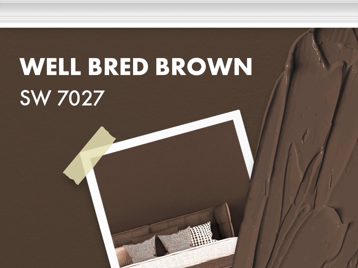 Sherwin Williams - Well Bred Brown