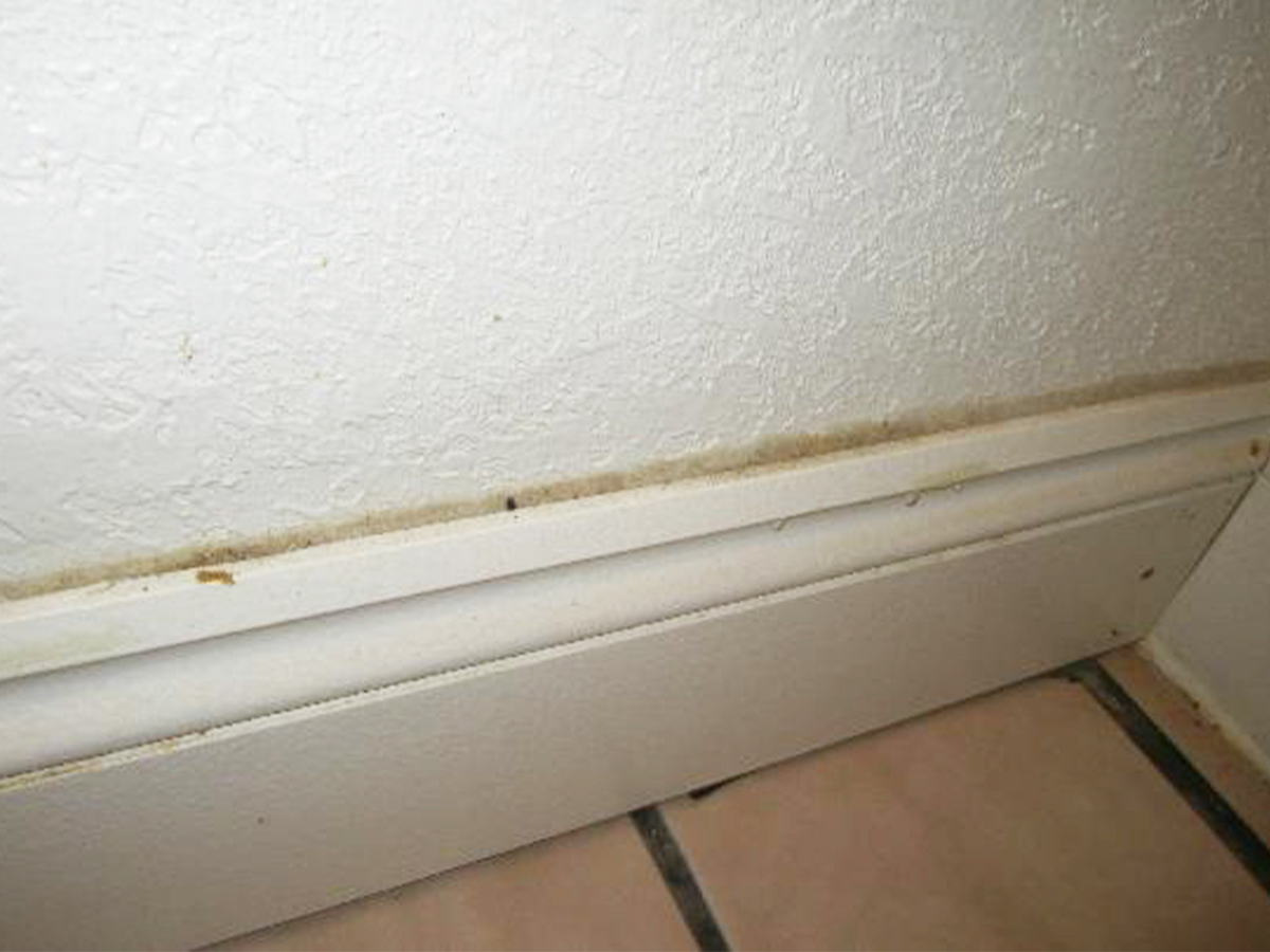 Dirty Baseboards
