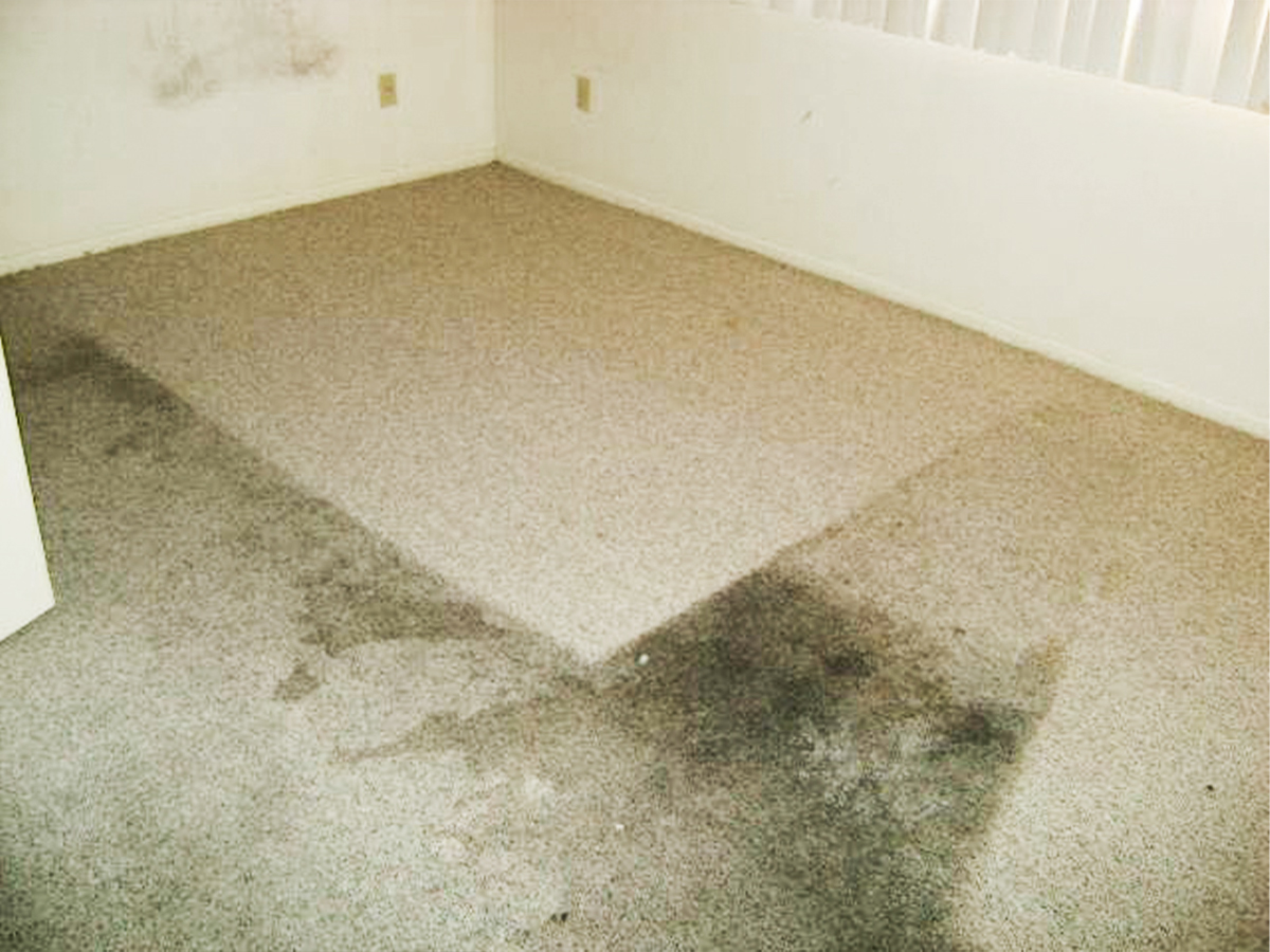 Stained Carpet